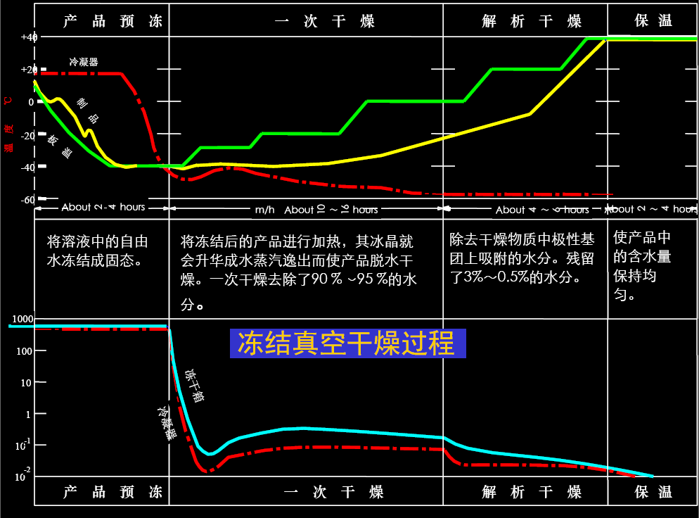 䶳﹤
